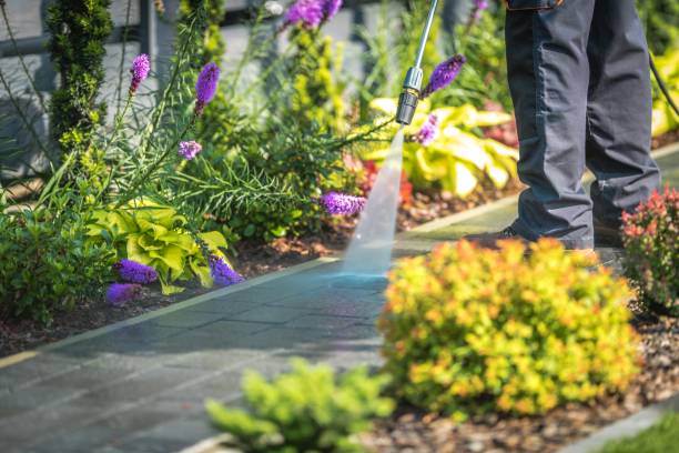 Best Pre-Holiday Cleaning  in Menifee, CA